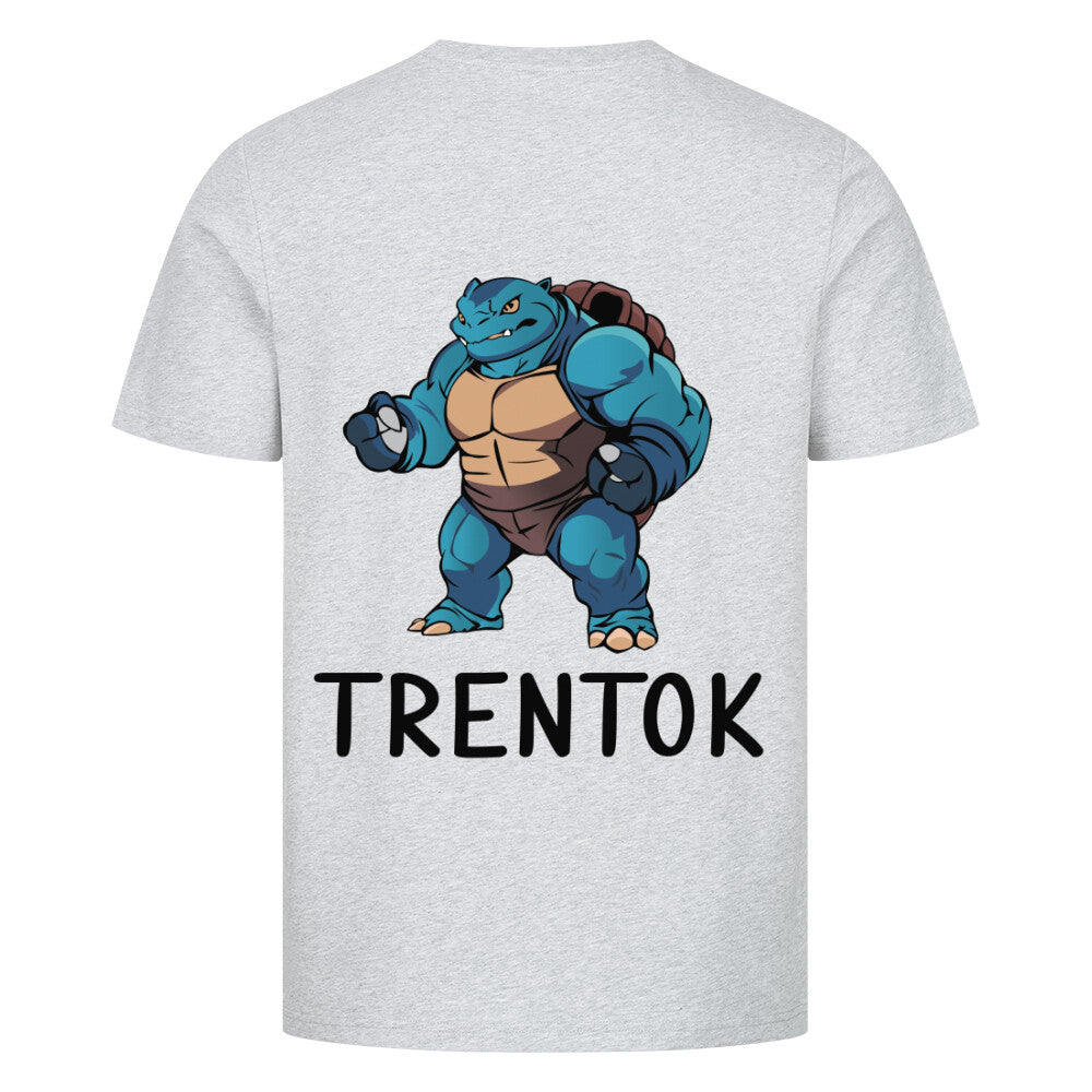 Trentok Shirt Pokemon Grau