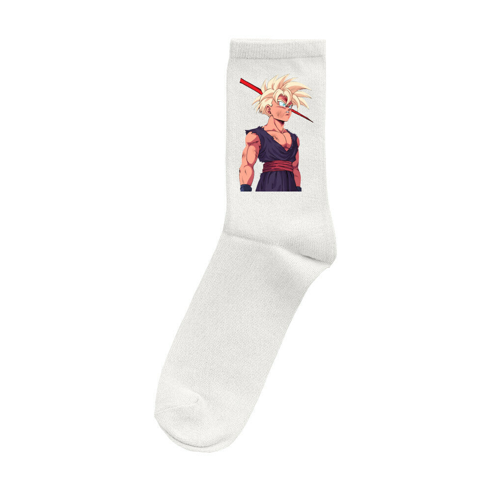 Gohan Socken