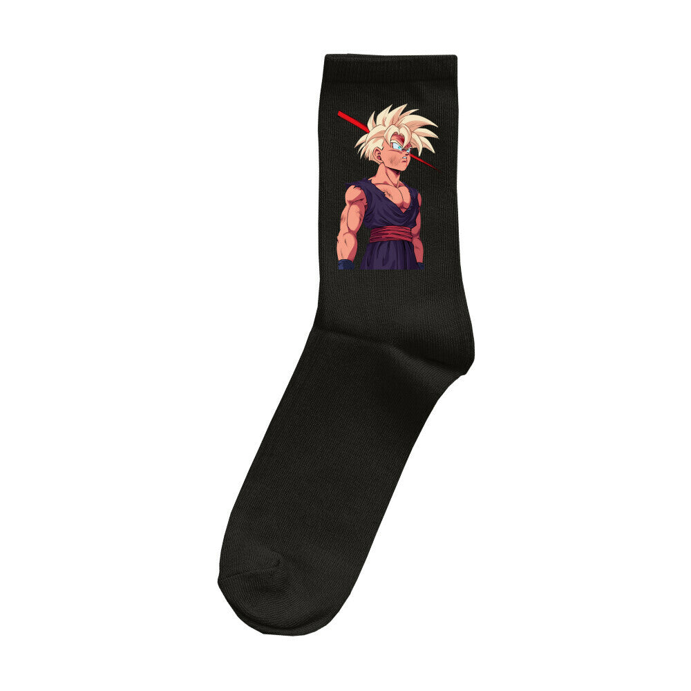 Gohan Socken