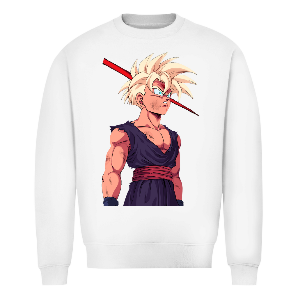 Gohan Herren Sweatshirt